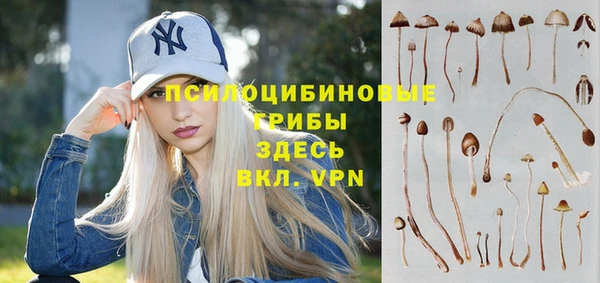 бошки Алексеевка