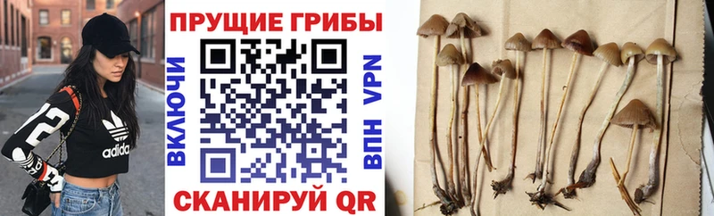 гидра рабочий сайт  Анапа  Галлюциногенные грибы мицелий 
